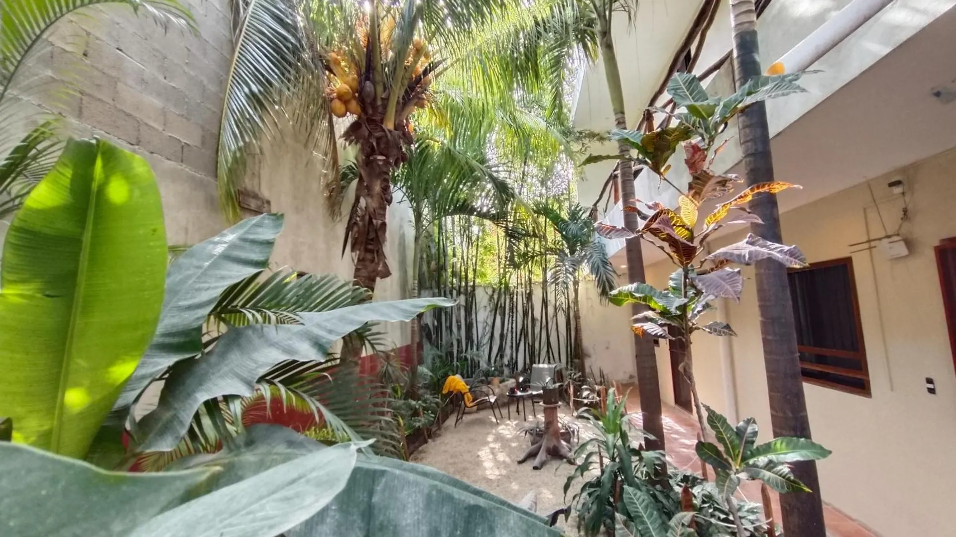 Casa Lupita Hotel Tulum